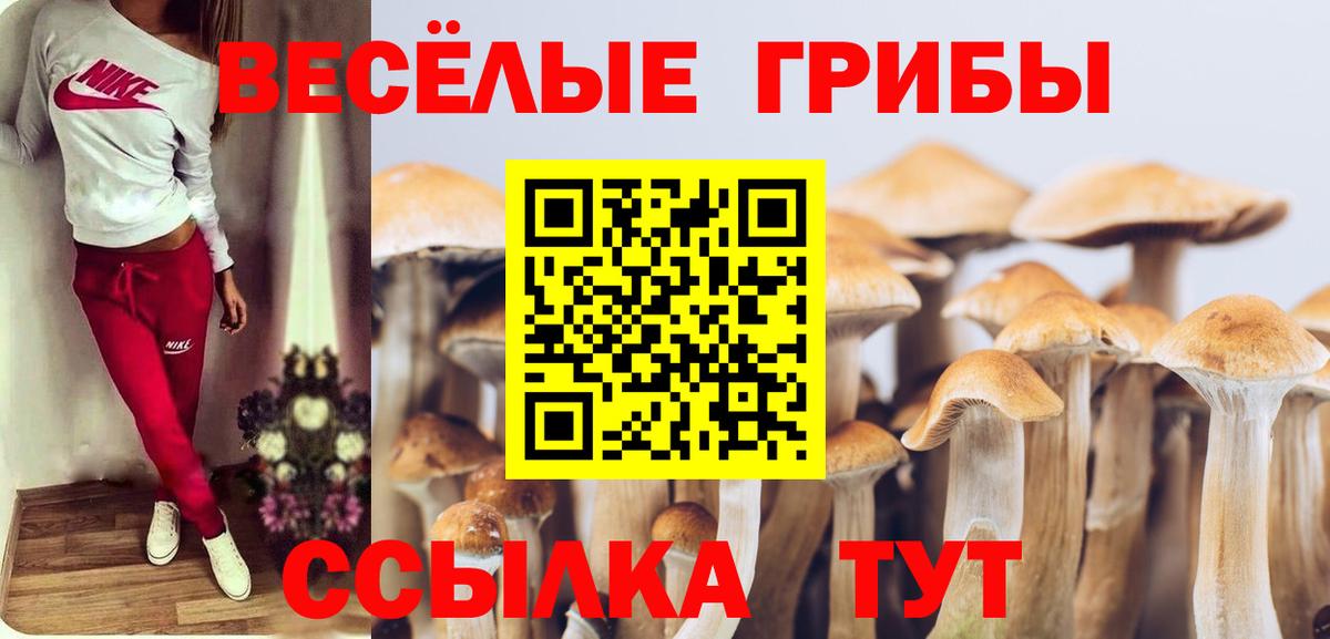 Павловский Посад  Галлюциногенные грибы ЛСД  Вход с VPN 